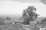 Bukovo